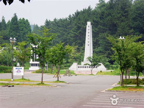 은파호수공원, 도심 속 자연의 숨결을 느끼다